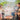 grillkurse-content-1
